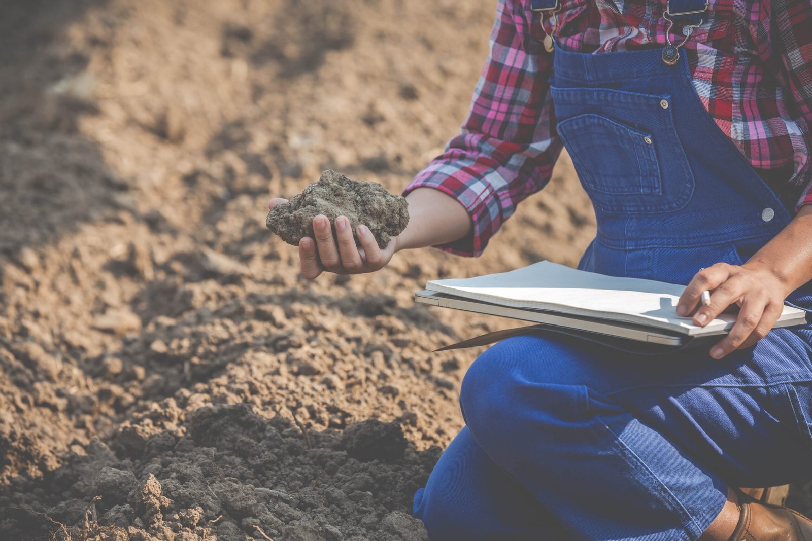 Soil-Testing-and-Amendments-José-&-José